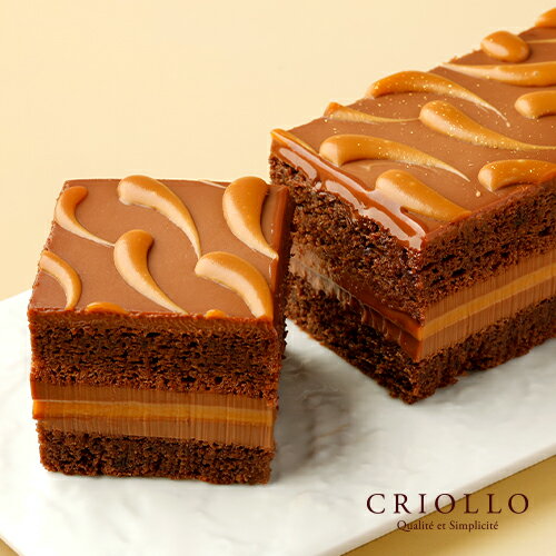 キャラメル・ショコラ（キャラメル・ショック）特製キャラメルと、濃厚チョコレートのケーキ【レクタ（長方形ケーキ）】【冷凍便】【朝9時までの注文で当日出荷可】※バレンタイン着日指定可