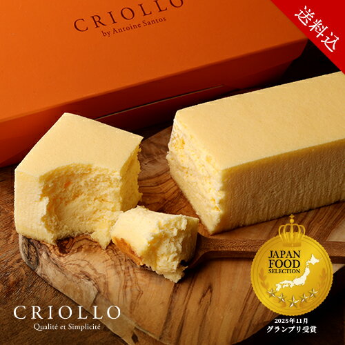 【送料込】【20周年記念 ノベルティ付き】幻のチーズケーキ【レクタ（長方形ケーキ）】【冷凍便】【朝9時までの注文で当日出荷可】【幻のチーズケーキ20周年！】JFSグランプリ受賞