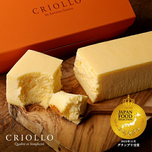 【20周年記念 ノベルティ付き】幻のチーズケーキ【レクタ(長方形ケーキ)】【冷凍便】【朝9時までの注文で当日出荷可】【幻のチーズケーキ20周年!】JFSグランプ...