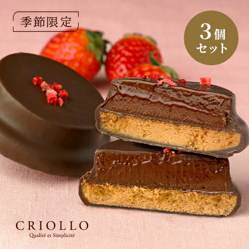 【季節限定】【焼き菓子】ディスカバリー・ショコラ・フレーズ 個包装 3個入 【冷凍便】【2～5営業日で出荷】※オンライン限定セット ※3月7日までのお届け※バレンタイン着日指定可