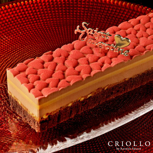 バレンタイン 世界最優秀味覚賞シェフプラリネ・ノワゼット・プレミアム（長方形）【冷凍便】【最短2-3営業日で出荷】 2021 キャラメル コーヒー チョコレートケーキお取り寄せスイーツ格安通販　バレンタイン　人気　ランキング