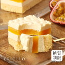 【楽天スーパーセール 9/4 20:00~ 9/11 1:59 まで100円OFFクーポン】【季節限定】【糖質制限】スリム・パッション(パッションフルーツとバニラのケーキ)【レクタ(長方形ケーキ)】【冷凍便】【朝9時までの注文で当日出荷可】※9月23日までのお届け