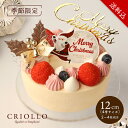 【送料込】【12月5日出荷開始】ガイア・フレーズ・ノエル(12cm)【2025ノエル】【冷凍便】※オンラインショップ限定仕様 ※12月30日までのお届け