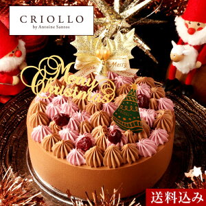 クリスマスケーキ フォレノワール（15cm） 4〜6名様分【2021ノエル】【冷凍便】【12月10日発送】【送料込】Xmas X’mas Christmas チェリー さくらんぼ グリオット チョコレートケーキ チョコ ムース お取り寄せ お菓子 スイーツ ギフト 美味しい 可愛い 送料無料