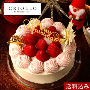 クリスマスケーキ ホワイト・クリスマス（15cm） 4〜6名様分【2021ノエル】【冷凍便】【12月10日発送開始】【送料込】Xmas X’mas Christmas ココナッツ 苺 いちご ホワイトチョコレート ムース お取り寄せ お菓子 スイーツ ギフト 美味しい 可愛い 送料無料