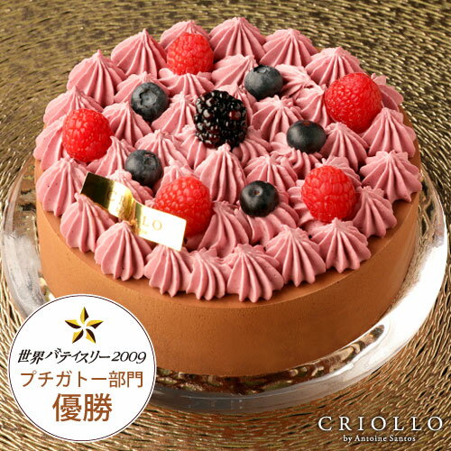 チョコレートケーキ ニルヴァナ（5号：直径15cm）4〜6名様分【冷凍便】【あす楽対応】ホールケーキ 洋菓子 お取り寄せグルメ ブラックベリー×チョコレート 贈り物 お取り寄せ誕生日ケーキ バースデーケーキ