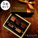 【フェア対象商品】【チョコレート】ビジュセット 5粒入り詰め...