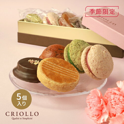 乐天商城 - 【母の日限定】【焼き菓子】スプリングセット（キキ/ガレット・ブルトンヌ/ヨーヨーマカロン/ドーム・ポム）個包装 5個入【冷凍便】【朝9時までの注文で当日出荷可】※5/17までのお届け ※オンライン限定
