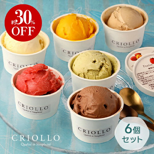 【3/20 20:00～ 3/26 1:59まで通常価格より30%OFF】【単品配送・同梱不可】アイスクリーム ＆ ソルベ 6個セット（ピスターシュ/フレーズ/バニラ/ショコラ/プラリネ・ノワゼット/マンゴー）【冷凍便】【2～5営業日で出荷】楽天お買い物マラソン