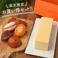 【送料込 楽天限定】幻のチーズケーキ+おすすめ焼き菓子5個セット【冷凍便】【2～5...