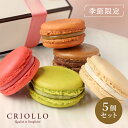 【マカロン】マカロン5個セット(ショコラ/ガイア/フランボワーズ/ピスターシュ/バニラ)【冷凍便】【2〜5営業日で出荷】※12月30までのお届け