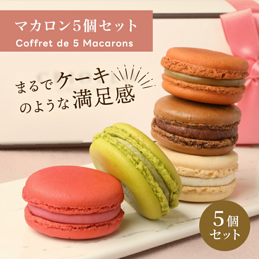 【マカロン】マカロン5個セット（ショコラ/ガイア/フランボワーズ/ピスターシュ/バニラ）【冷凍便】【朝9時までの注文で当日出荷可】※5月30日までのお届け 2