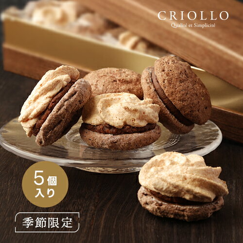 【季節限定】冬のヨーヨーマカロン5個セット（ラムレーズン/ショコラ）【冷凍便】【2～5営業日で出荷】※オンライン限定セット ※2月16日までのお届け