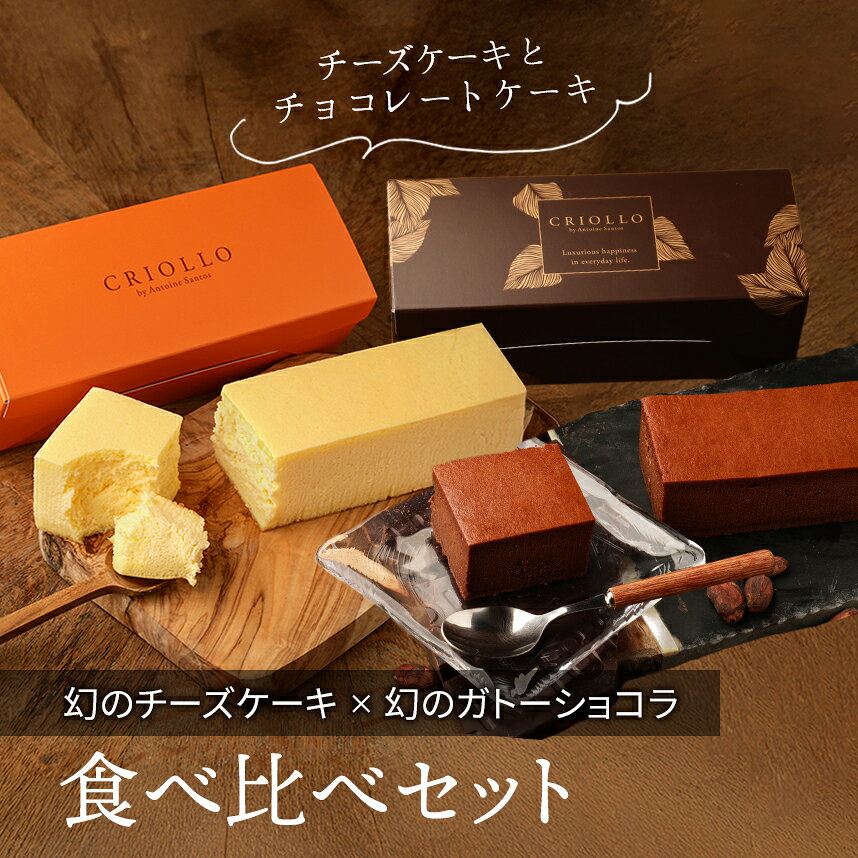 【送料込】【食べ比べセット】幻のチーズケーキ と 幻のガトーショコラ （クラシック・ヌーボー）●【レクタ（長方形ケーキ）】【冷凍便】【朝9時までの注文・日時指定で当日出荷可】 ecolecriollo-10003732 クリオロ サンプル画像2