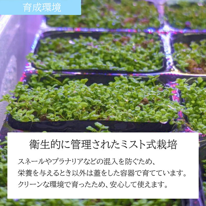 �� ̵���� ���ޥ�����ɥᥰ�� ����� 1�ѥå������� ������ �������ꥦ�� ��Ƥ䤹�� ����� �鿴�� �ѥ���ꥦ�� �ӥ��ȡ��� ���å��������ꥦ�� �٥� �ͥ���ƥȥ� �ò� Ⱦ������ ����� �����