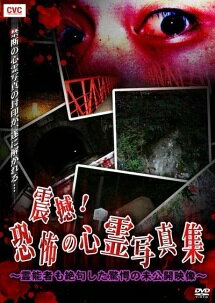 【中古】 震撼!恐怖の心霊写真集~霊能者も絶句した驚愕の未公開映像~ [レンタル落ち] [DVD]