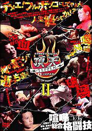 【中古】 STREET FIGHT 頂点II TEPPEN JAPAN [レンタル落ち] [DVD]