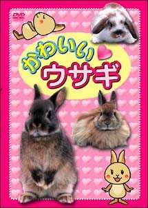 ◆商品説明◆ 商品名 【レンタル落ち 中古 DVD】 【中古】 かわいい ウサギ [レンタル落ち] [DVD] セット内容 ・ジャケット(紙) ・ディスク(不織布ケースにお入れいたします) ・トールケースは付属しません。 ・トールケースをご希望の場合は、別売りのトールケースをご用意しております。ご検討ください。 コンディション 中古：やや傷や汚れあり ※本商品はレンタル落ち（レンタルアップ）の商品です。 ・ジャケット(紙)、ディスクには、商品の入れ間違い等を防ぐための商品管理シールが貼られております。 ・ジャケット(紙)、ディスクは中古品のため使用感、日焼け箇所・小キズ等がある場合がございます。 ・中古品の為、軽微な映像のみだれ、音飛び等ある場合がございます。 ・ディスクは、当店スタッフが検品出荷をし、目立つキズがあるものは業務用の高レベル研磨機でクリーニングしております。 ※万が一、再生不良がございましたらメールにてご連絡ください。 盤面再研磨や代替品の再発送などの対応をさせていただきます。代替品がない場合は返金とさせていただきます。 配送方法 配送方法の当社選定目安 ディスク1枚〜20枚...メール便 ディスク21枚〜40枚...宅配便コンパクト ディスク41枚〜...宅配便60サイズ～ ※上記配送方法の選定目安は、あくまで目安であり配送方法をお約束できるものではございません。 ※お急ぎのお客様は、追加料金の配送方法をご検討ください。 ※お買い上げの枚数や金額によって配送方法を当社都合で変更いたします。 注意事項 ※必ずご確認ください※ ※中古商品の為、決済完了後のお客様都合によるキャンセル・変更は受付いたしておりませんのでご注意ください。 ※画像は、できる限り実物に近い色味で掲載しておりますが、視聴環境によって多少の色の違いがあります。 ※代引きを選択されたお客様は宅配料金表の通りの送料を追加請求させていただきます。 ※複数の商品をご購入いただきました場合、一部の商品で在庫切れや最終検品時に不良が判明した商品があった場合 　誠に勝手ではございますが、対象の商品をキャンセルし発送させていただきます。予めご了承ください。