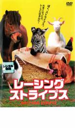 【中古】DVD▼レーシングストライプス▽レンタル落ち