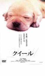 【バーゲンセール】【中古】DVD▼クイール レンタル落ち