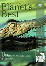 【バーゲンセール】【中古】DVD▼プラネッツ・ベスト 野生動物との遭遇 レンタル落ち