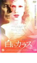 【バーゲンセール】【中古】DVD▼白いカラス 日本公開版 レンタル落ち