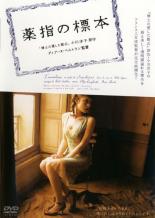 【中古】DVD▼薬指の標本▽レンタル落ちのサムネイル