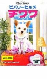 �ڥС����󥻡���ۡ���š�DVD���ӥХ꡼�ҥ륺 ����� ��󥿥����