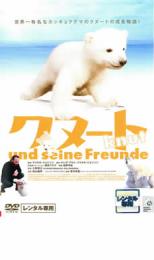 【中古】DVD▼クヌート レンタル落ち