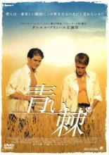 【バーゲンセール】【中古】DVD▼青い棘 レンタル落ち