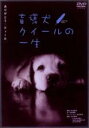 【中古】DVD▼盲導犬 クイールの一生 グーッド グーッド レンタル落ち