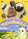 【バーゲンセール】【中古】DVD▼ななみちゃんのわくわくどうぶつえん たてがみふさふさライオンさんの巻 レンタル落ち