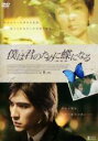 【バーゲンセール】【中古】DVD▼僕は君のために蝶になる レンタル落ち