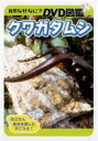 【中古】DVD▼自然なぜなに? DVD図鑑 クワガタムシ レンタル落ち