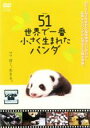 【バーゲンセール】【中古】DVD▼51 ウーイー 世界で一番小さく生まれたパンダ レンタル落ち
