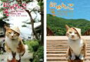 2パック【中古】DVD▼にゃんこTHE STORY 宿場町ねこ散歩(2枚セット)1 妻籠宿・馬籠宿編、2 奈良井宿・福島宿編 レンタル落ち 全2巻