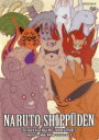 【バーゲンセール】【中古】DVD▼NARUTO ナルト 疾風伝 忍界大戦・サスケとイタチ 3(第549話~第552話) レンタル落ち