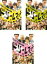【中古】DVD▼日本プロ麻雀連盟 ドリームマッチ(3枚セット)Vol.1、2、3 レンタル落ち 全3巻 999円