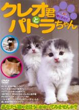 【バーゲンセール】【中古】DVD▼クレオ君とパトラちゃん あなたも猫のまほうにかかってみませんか?