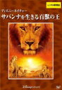 【バーゲンセール】【中古】DVD▼ディズニーネイチャー サバンナを生きる百獣の王 レンタル落ち