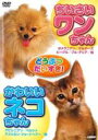 【バーゲンセール】【中古】DVD▼どうぶつだいすき ちいさいワンちゃん&かわいいネコちゃん レンタル落ち