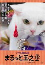 【中古】DVD▼いやし猫DVD 猫侍 まるっと玉之丞 レンタル落ち