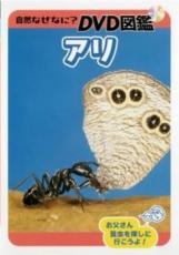 【バーゲンセール】【中古】DVD▼自然なぜなに? DVD図鑑 アリ レンタル落ち