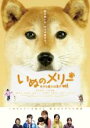 【中古】DVD▼いぬのメリー 幸せを運ぶ伝書犬 レンタル落ち