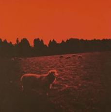 【中古】CD▼HELL-SEE 通常盤 レンタル落ち