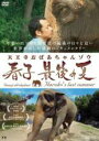 【バーゲンセール】【中古】DVD▼天王寺おばあちゃんゾウ 春子 最後の夏 レンタル落ち