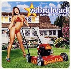 【中古】CD▼プレイメイト・オブ・ザ・イヤー レンタル落ち