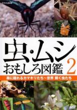 【バーゲンセール】【中古】DVD▼虫・ムシ おもしろ図鑑 2 森に隠れるカマキリたち 世界 輝く虫たち レ..