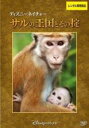 【バーゲンセール】【中古】DVD▼ディズニーネイチャー サルの王国とその掟 レンタル落ち
