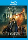 【中古】Blu-ray▼ファンタスティック・ビーストとダンブルドアの秘密 ブルーレイディスク レンタル落ち